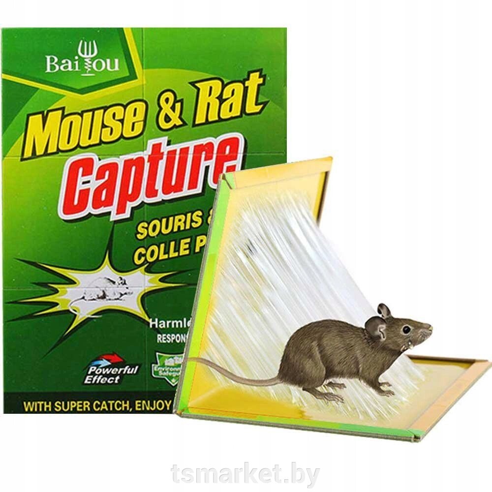 Липкая ловушка для мышей и насекомых Mouse&Rat Glue Board от компании TSmarket - фото 1