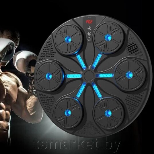 Музыкальный боксерский тренажер настенный с Bluetooth и встроенным динамиком Entelligent Boxing Machine от компании TSmarket - фото 1