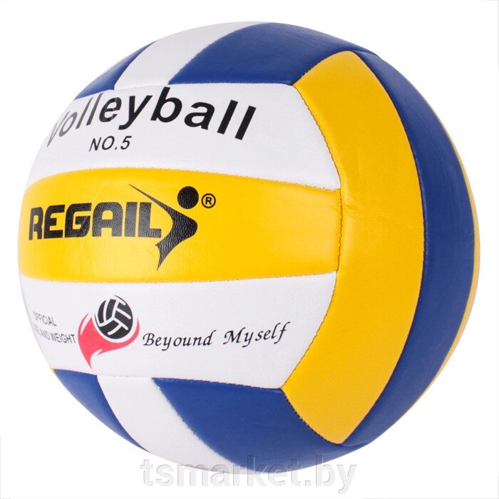 Мяч волейбольный (RVB-001) 18панелей от компании TSmarket - фото 1