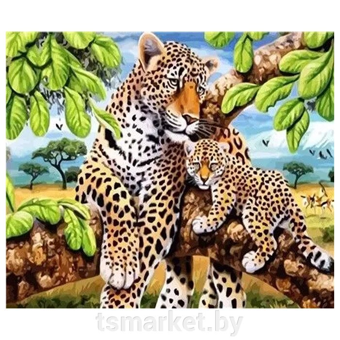 Набор для творчества "Рисование по номерам" 40*40см Семейство леопардов от компании TSmarket - фото 1