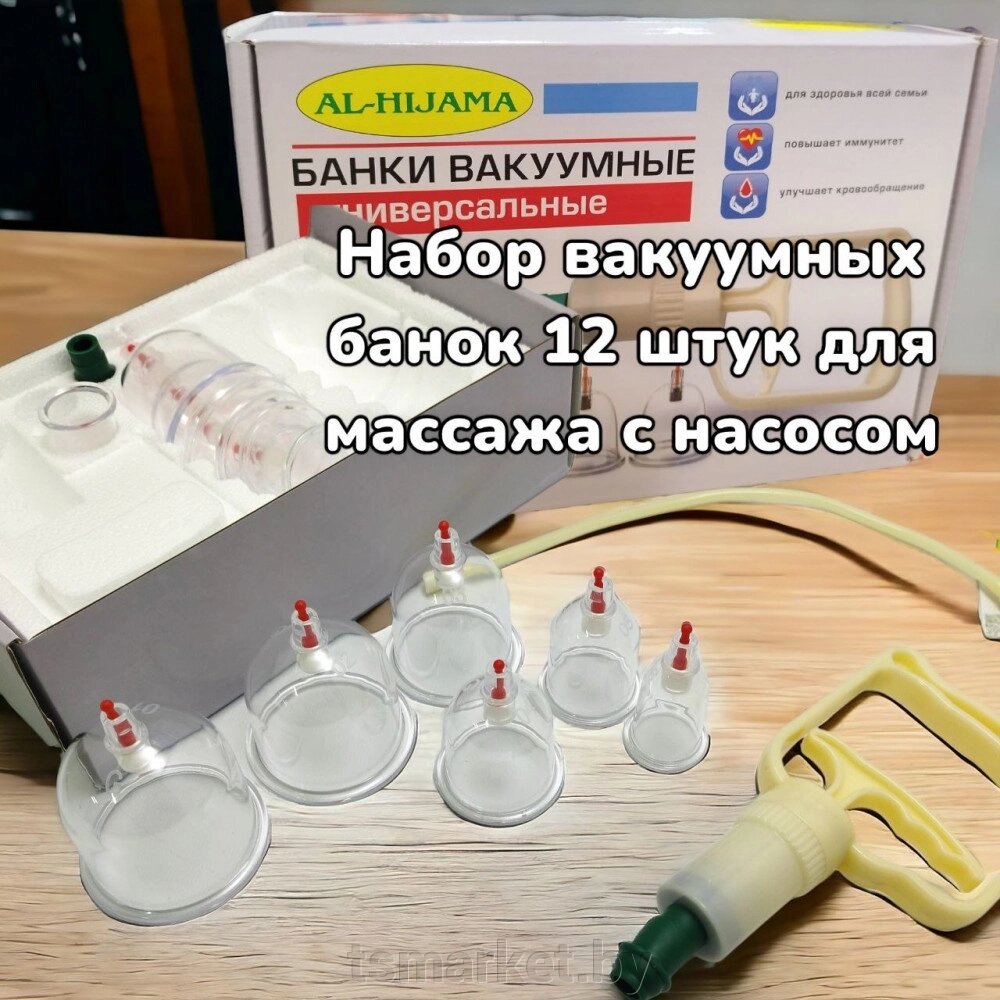 Набор Вакуумные банки для хиджамны и массажа с насосом 12 шт. AL HiJaMa от компании TSmarket - фото 1