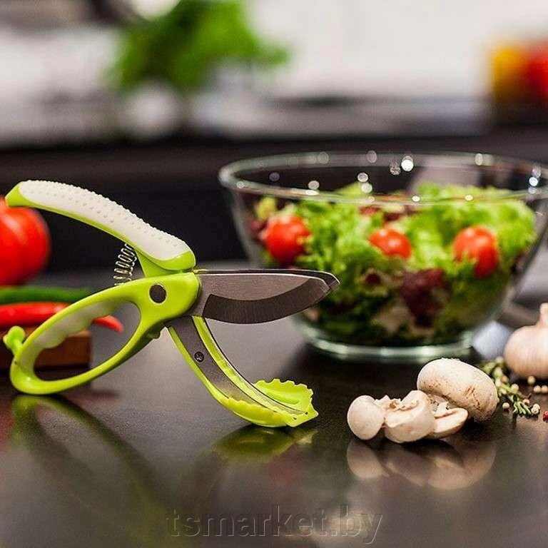 Ножницы для овощей, фруктов и салата «АЛЛИГАТОР» (Scissors for vegetables) от компании TSmarket - фото 1
