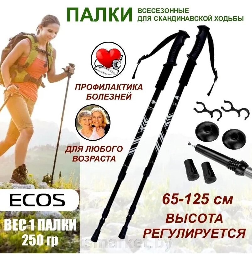 Палки для скандинавской ходьбы всесезонные ECOS WP-05 от компании TSmarket - фото 1