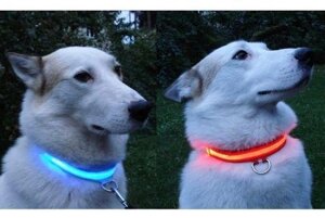 Светящийся ошейник для собак (3 режима)