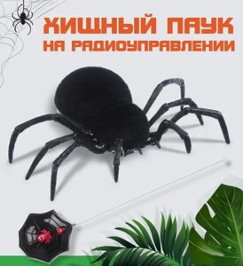 Хищный паук на радиоуправлении