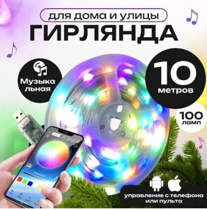 Умная гирлянда роса светодиодная 10м Dream color LED с пультом и приложением MR Star 15Ват