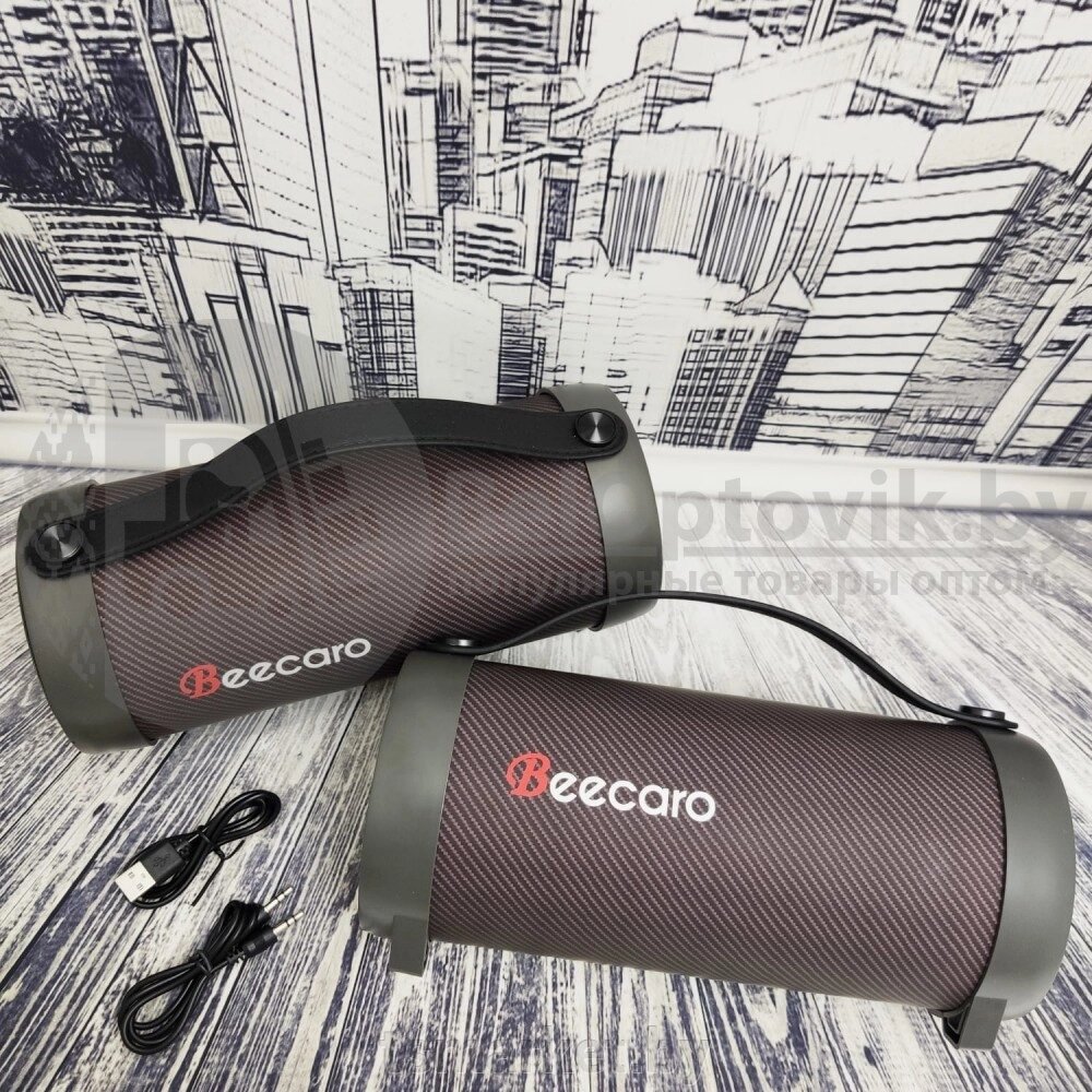 Портативная акустическая система Beecaro S11F от компании TSmarket - фото 1