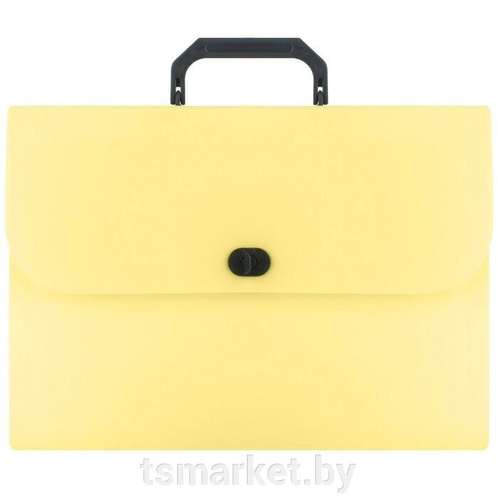 Портфель А4 13 отделений Ice жёлтый от компании TSmarket - фото 1