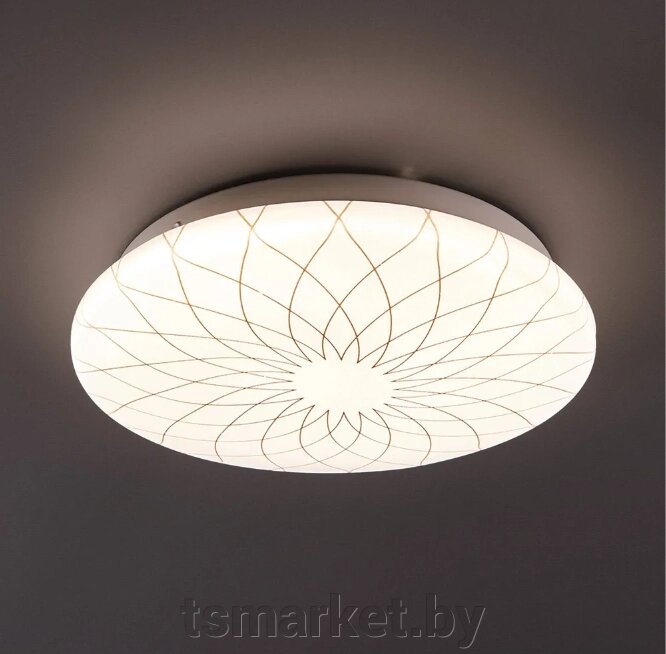 Потолочный светильник Lumin'arte FLER Супер-цена! от компании TSmarket - фото 1