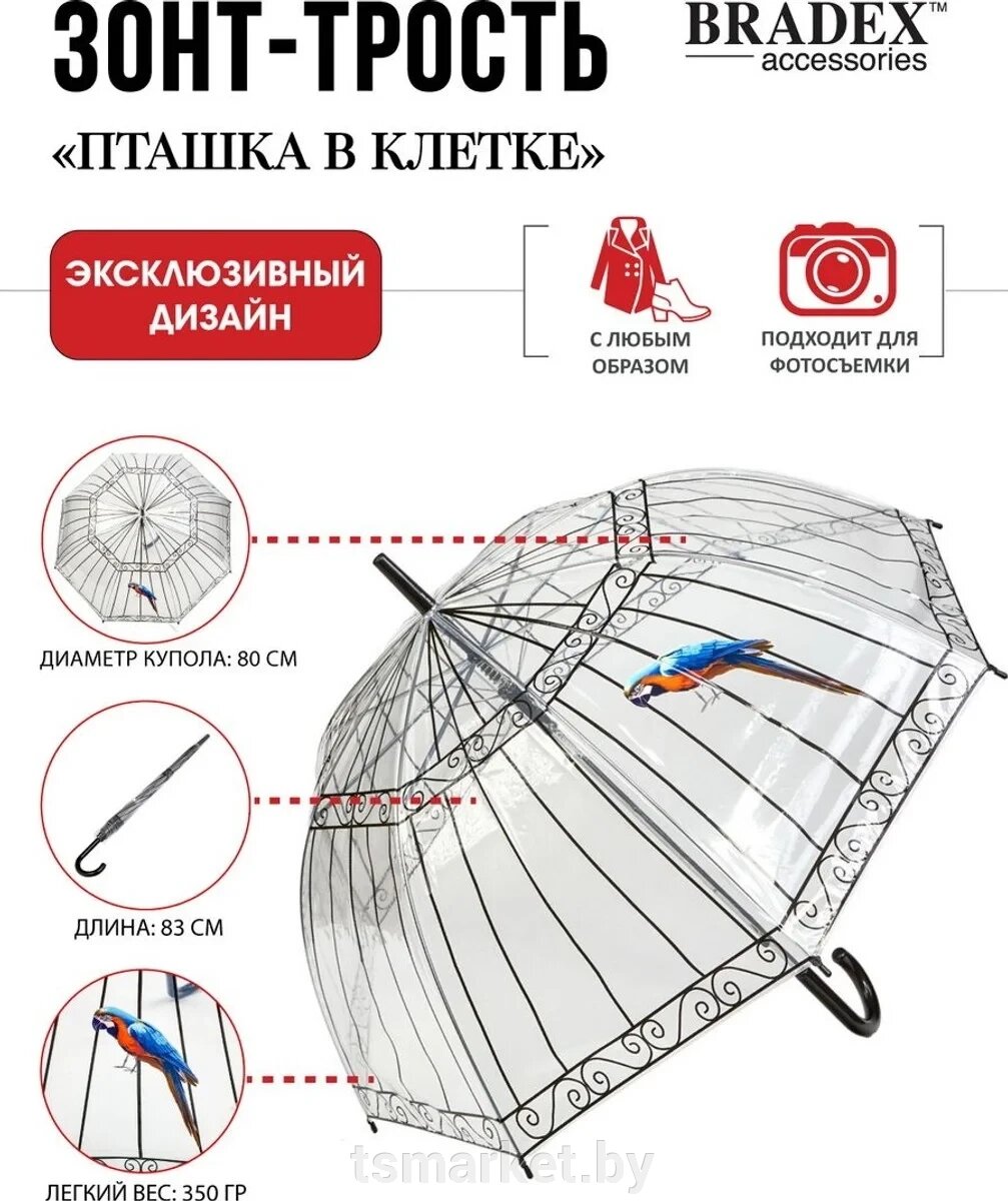 Прозрачный зонт-трость «Пташка в клетке» от компании TSmarket - фото 1