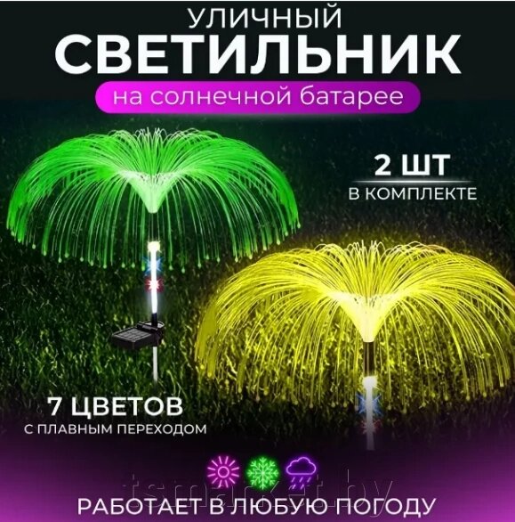 Садовый светильник на солнечной батарее Медуза (2 шт в комплекте) от компании TSmarket - фото 1