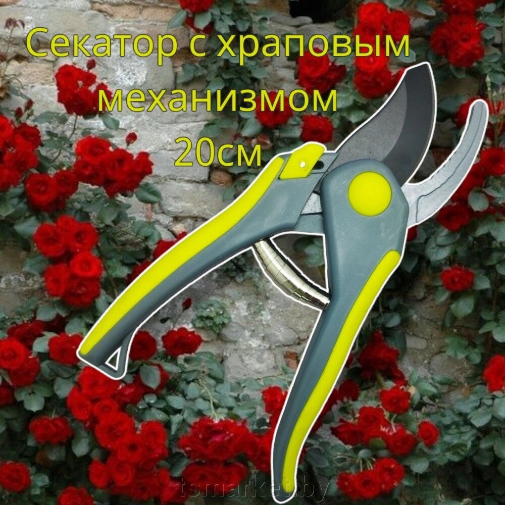 Секатор - сучкорез садовый с храповым механизмом My Garden 20 см. / Стальные лезвия, прорезиненная рукоятка от компании TSmarket - фото 1