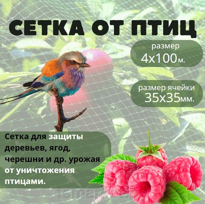Сетка для защиты урожая от птиц 4х100  м. (ячейка 35х35 мм.) от компании TSmarket - фото 1