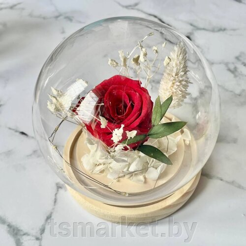 Стабилизированная роза в колбе-шаре "для любимой"Лучший подарок девушке. Разные цвета