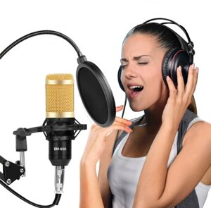 Студийный микрофон для домашней звукозаписи, караоке, стриминга и блогинга BM-800с микшерным пультом