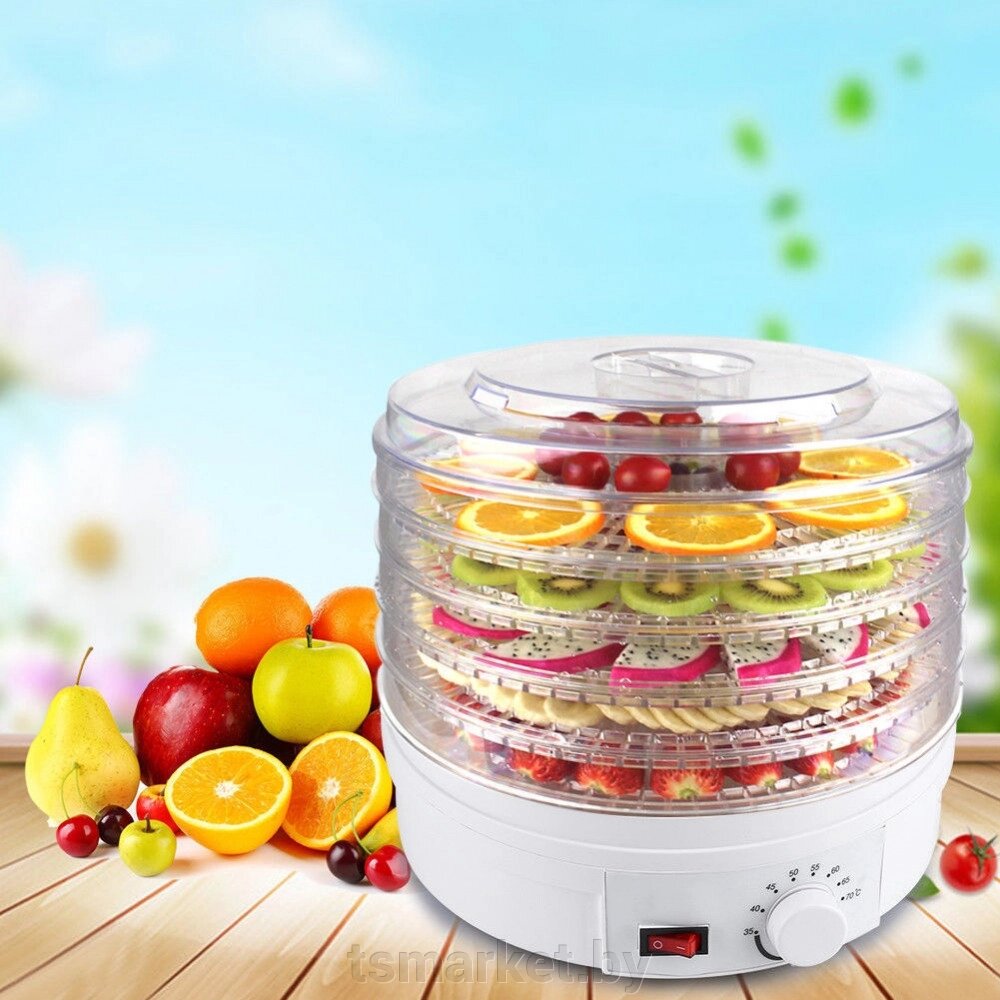 Сушилка для овощей и фруктов Digital Food Dehydrator SMX-01 от компании TSmarket - фото 1