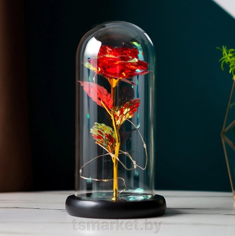 Вечная роза в стеклянном абажуре с подсветкой SiPL от компании TSmarket - фото 1