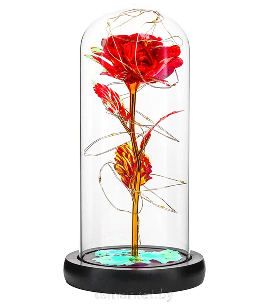 Вечная роза в стеклянном абажуре с подсветкой SiPL от компании TSmarket - фото 1