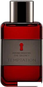 Antonio Banderas The Secret Temptation for men EdT (100 мл)