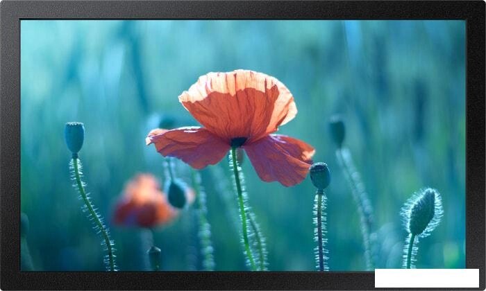 Интерактивная панель Samsung QB13R от компании Интернет-магазин marchenko - фото 1