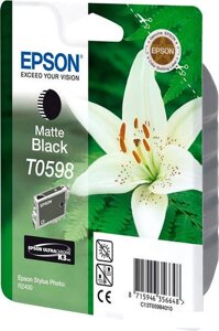 Картридж Epson C13T05984010