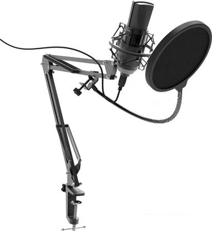 Микрофон Ritmix RDM-180 от компании Интернет-магазин marchenko - фото 1