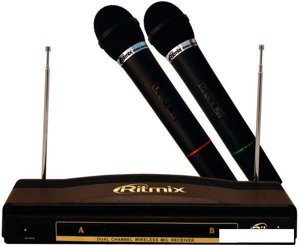 Микрофон Ritmix RWM-220 от компании Интернет-магазин marchenko - фото 1