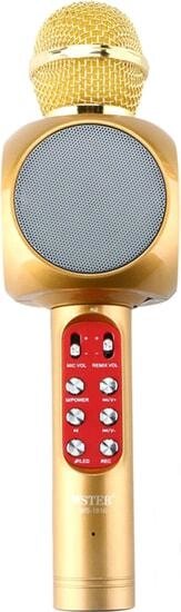 Микрофон Wster WS-1816 (золотистый) от компании Интернет-магазин marchenko - фото 1