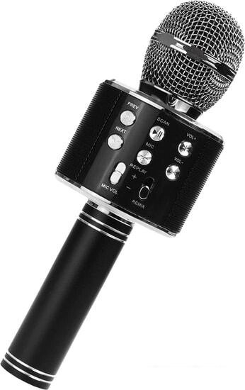 Микрофон Wster WS-858 (черный) от компании Интернет-магазин marchenko - фото 1
