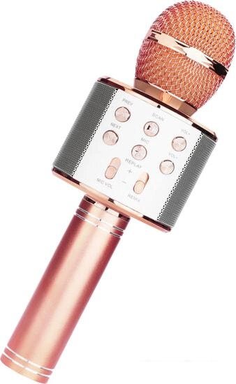 Микрофон Wster WS-858 (розовый) от компании Интернет-магазин marchenko - фото 1
