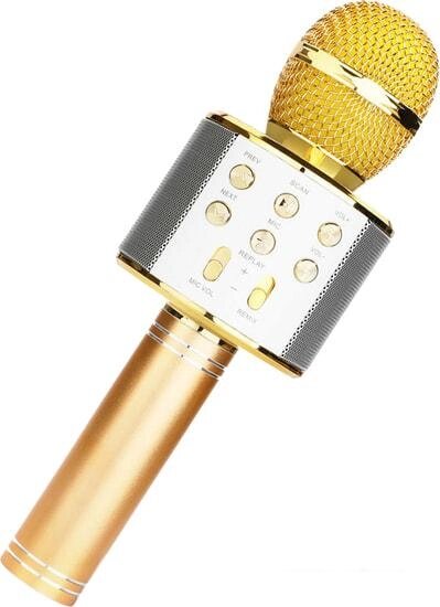 Микрофон Wster WS-858 (золотистый) от компании Интернет-магазин marchenko - фото 1