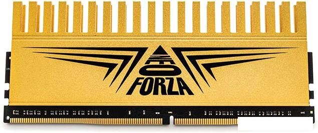 Оперативная память Neo Forza Finlay 16GB DDR4 PC4-24000 NMUD416E82-3000DD10 от компании Интернет-магазин marchenko - фото 1