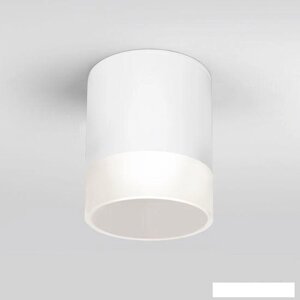 Уличный накладной светильник Elektrostandard Light LED 2107 35140/H (белый)