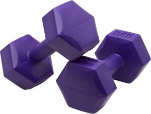 Набор гантелей BaseFit DB-305 2x2 кг (фиолетовый)