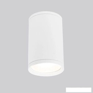 Уличный накладной светильник Elektrostandard Light 2101 35128/H (белый)