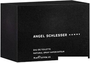 Angel Schlesser Homme edT (125 мл)