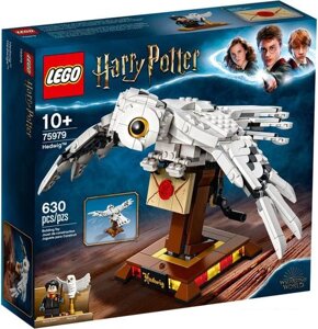 Конструктор LEGO Harry Potter 75979 Букля