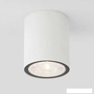 Уличный накладной светильник Elektrostandard Light 2103 35131/H (белый)