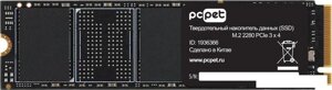 SSD PC Pet 1TB PCPS001T3