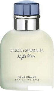 Dolce&Gabbana Light Blue pour Homme EdT (40 мл)