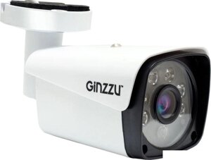 IP-камера Ginzzu HIB-2301A