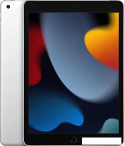 Планшет Apple iPad 10.2" 2021 256GB 5G MK4H3 (серебристый)