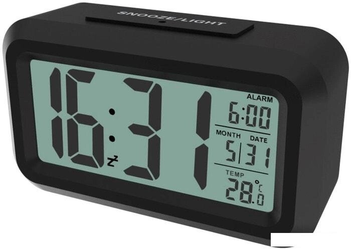 Радиочасы Ritmix CAT-100 (черный) от компании Интернет-магазин marchenko - фото 1
