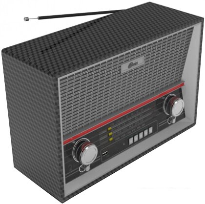 Радиоприемник Ritmix RPR-102 (карбон) от компании Интернет-магазин marchenko - фото 1