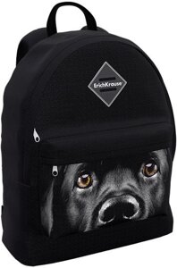 Школьный рюкзак Erich Krause EasyLine 17L Black Dog 60324