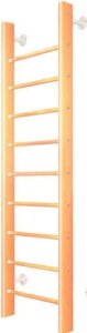 Шведская стенка (лестница) Карусель 2Д. 01.01-01 2.3 м (светлый)