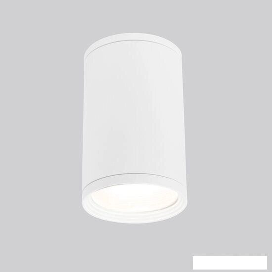 Уличный накладной светильник Elektrostandard Light 2101 35128/H (белый) от компании Интернет-магазин marchenko - фото 1