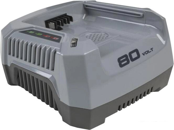 Зарядное устройство Stiga SFC 80 AE 270012088/S16 (80В) от компании Интернет-магазин marchenko - фото 1