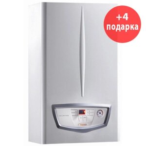 Двухконтурный газовый котел Immergas Nike Mythos 24 3 R