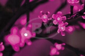 Светодиодное дерево Neon-night Сакура фиолетовый 2.4 м,2 м